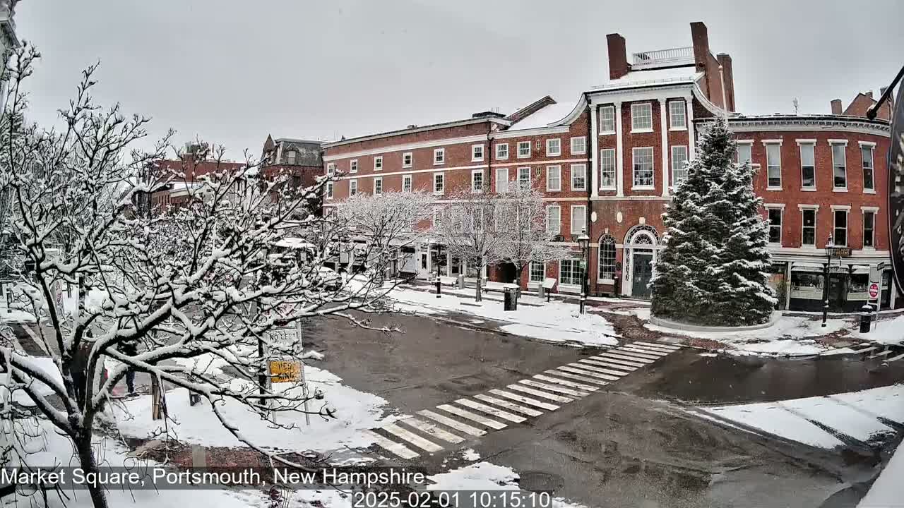 Snow-covered trees and brick buildings line a snow-covered town square with a crosswalk.