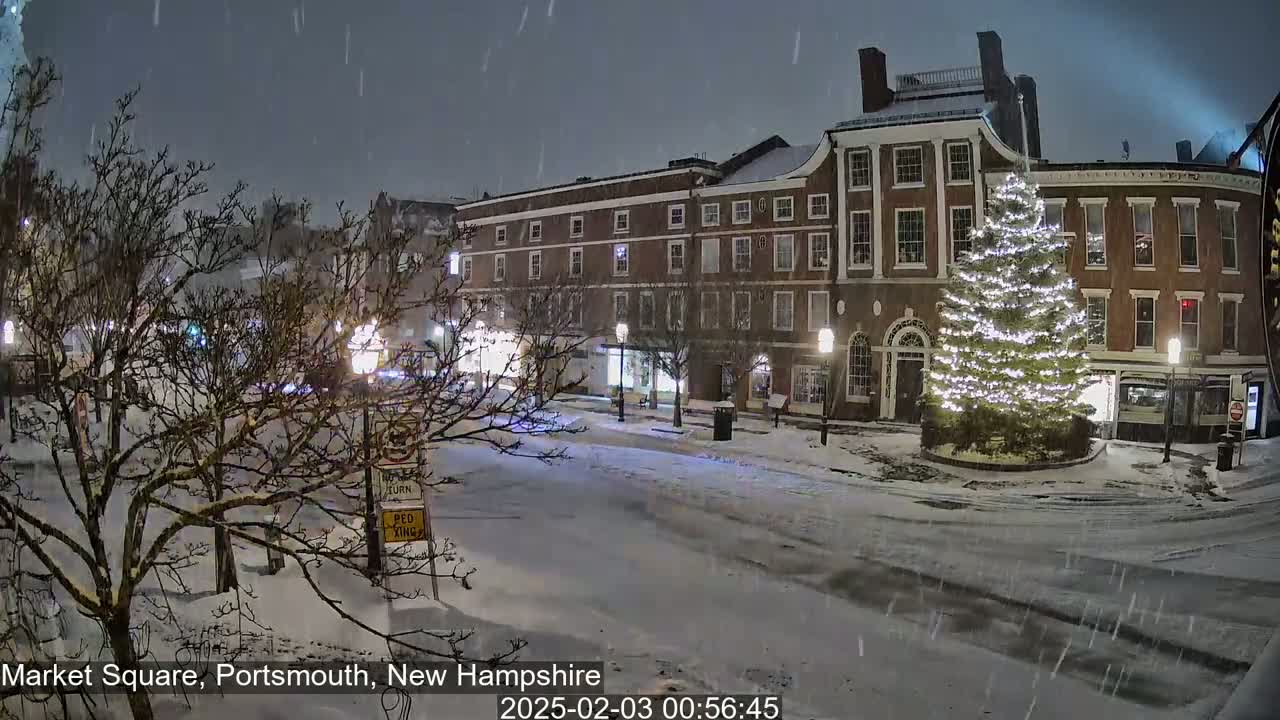 A snow-covered town square at night features a large illuminated Christmas tree in front of brick buildings, with lightly falling snow.