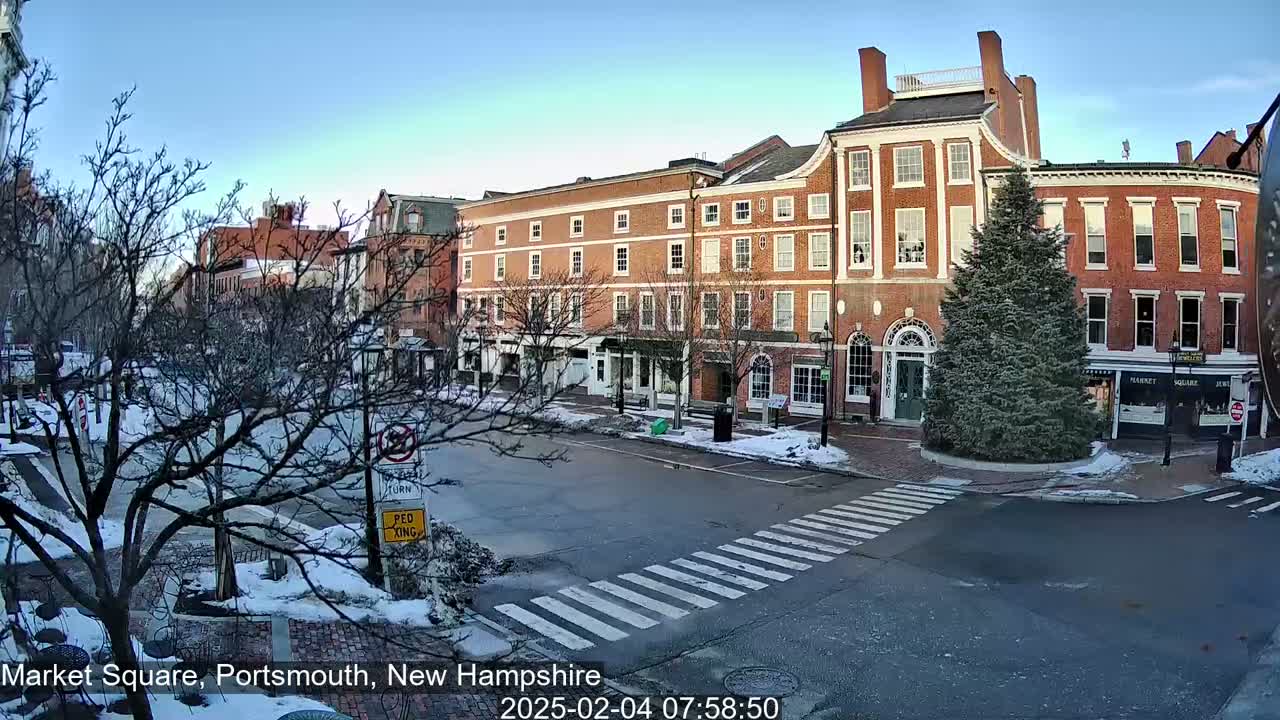 A snow-dusted town square with brick buildings and a large evergreen tree in the center under a clear blue sky.