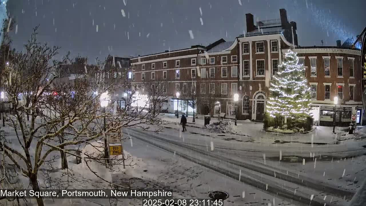 Snow falls on a snow-covered town square at night, where a decorated Christmas tree stands in front of brick buildings.