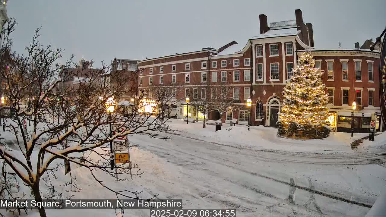 A snow-covered town square with brick buildings, a lit Christmas tree, and bare trees dusted with snow under a cloudy sky.