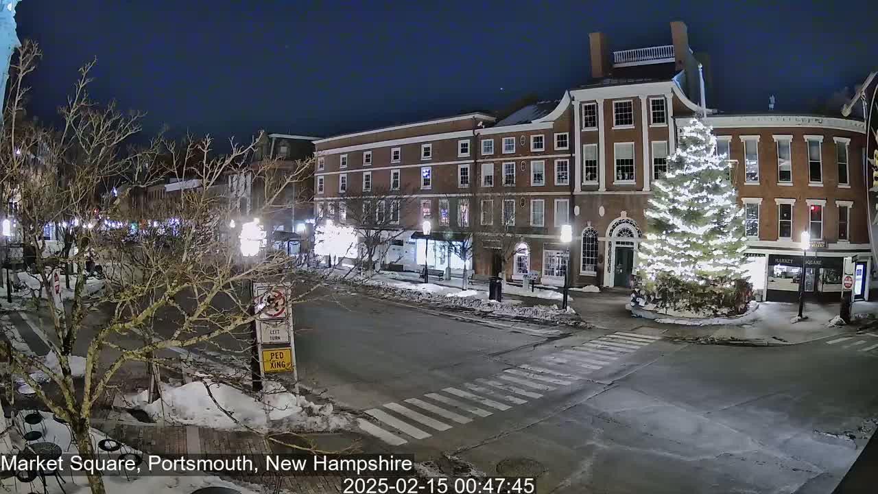 A snow-covered, nighttime street scene shows a town square with brick buildings, a large illuminated Christmas tree, and bare trees.