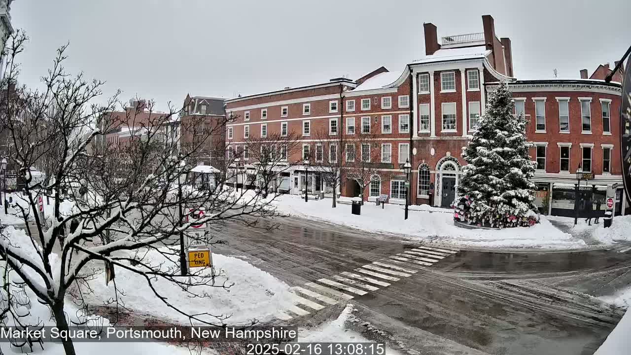 A snow-covered town square with brick buildings and a large evergreen tree in the center, under an overcast sky.
