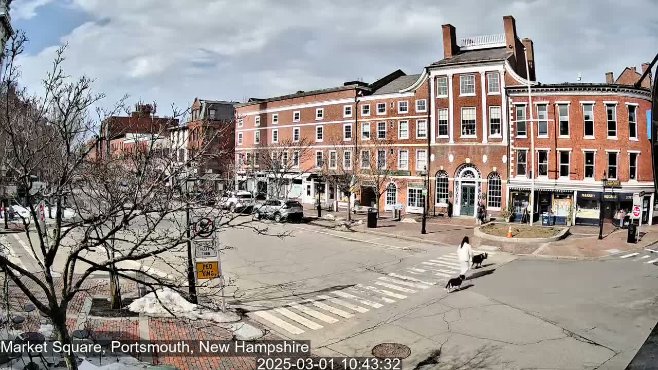 A sunny day in a town square shows several brick buildings, bare trees, parked cars, and a person walking two dogs across a crosswalk.