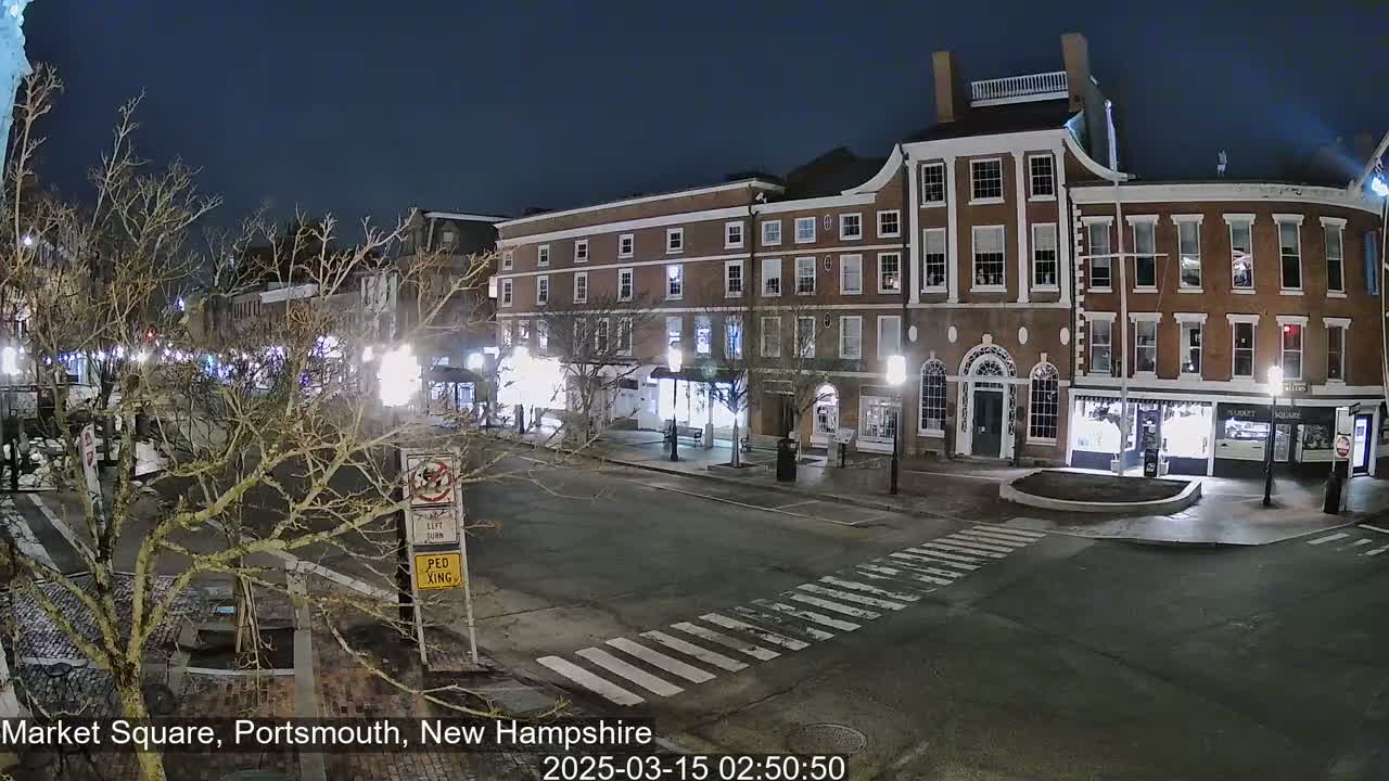 A nighttime view of a city square with several brick buildings, streetlights, and bare trees under a dark sky.