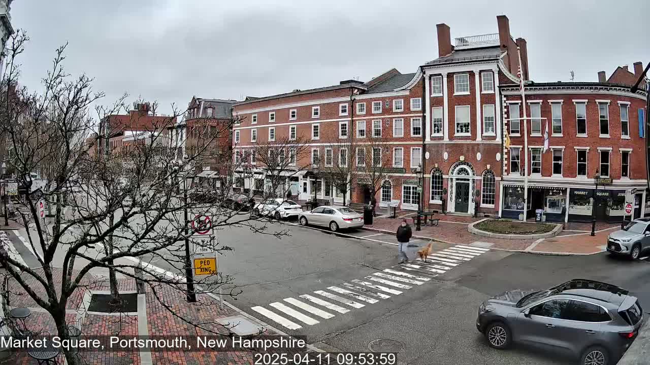 A person walks a dog across a pedestrian crossing in a town square, under an overcast sky, with several brick buildings and parked cars visible.