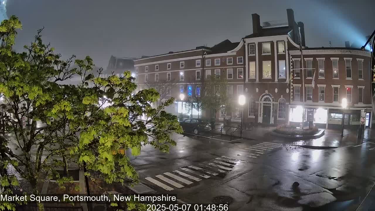 A nighttime, rainy scene shows a brick building and a street with a crosswalk, partially obscured by a leafy tree.