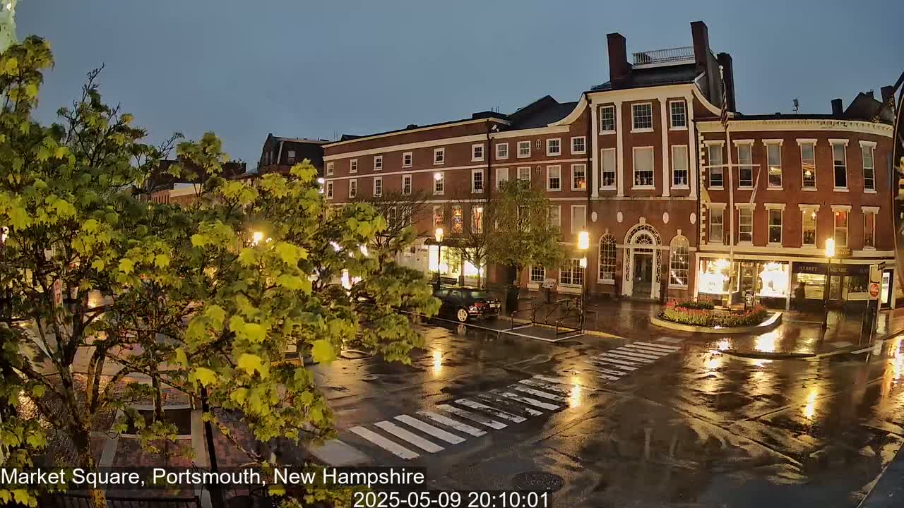 A rain-slicked town square at night, showing several brick buildings with lights on, and trees with bright green leaves.