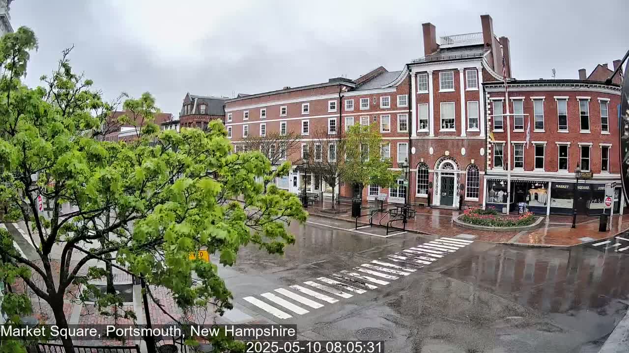 A wet, brick-fronted street scene shows several multi-story buildings under an overcast sky, with green trees lining the street.