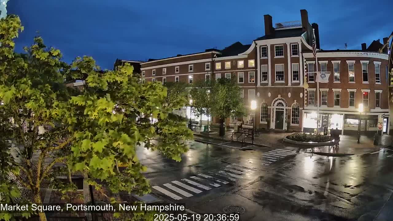 A wet, nighttime view of a town square with brick buildings, streetlights, and lush green trees under a dark blue sky.