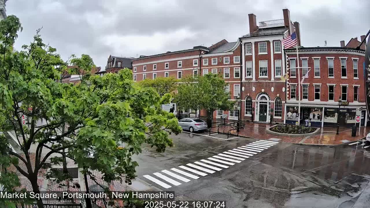 A rain-slicked brick street in front of several red brick buildings, partially obscured by lush green trees.