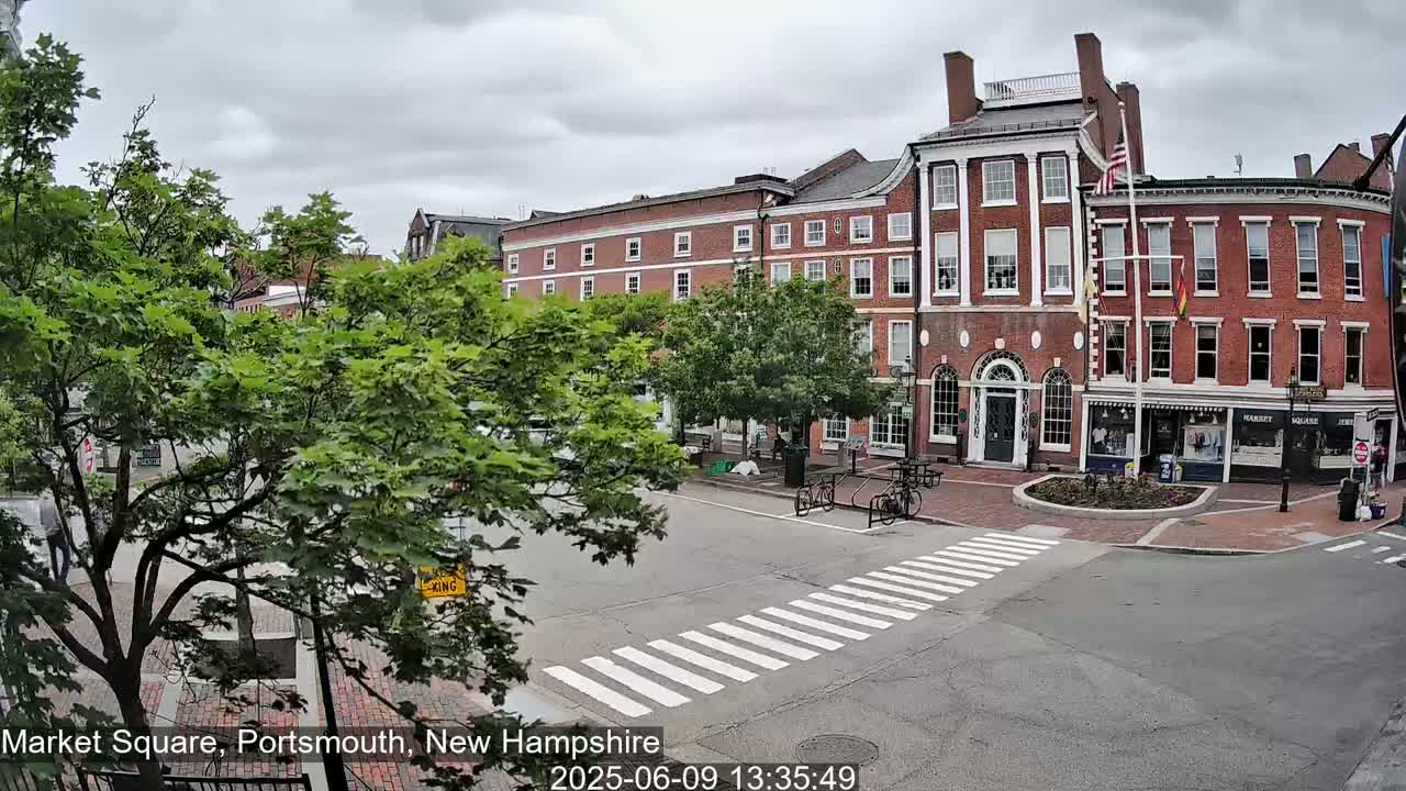 A brick street with a crosswalk is surrounded by several three-story brick buildings under an overcast sky; lush green trees are visible in the foreground.