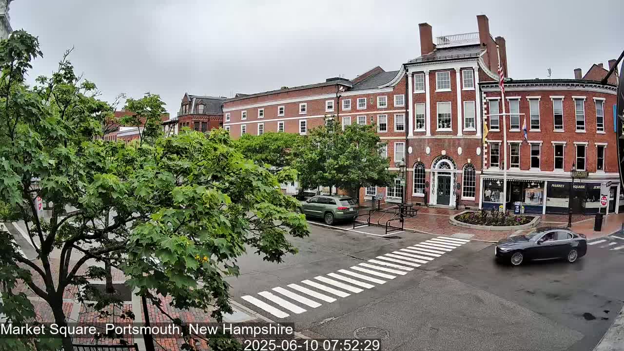 A view of a town square on an overcast day shows brick buildings, lush green trees, and a few cars at a crosswalk.