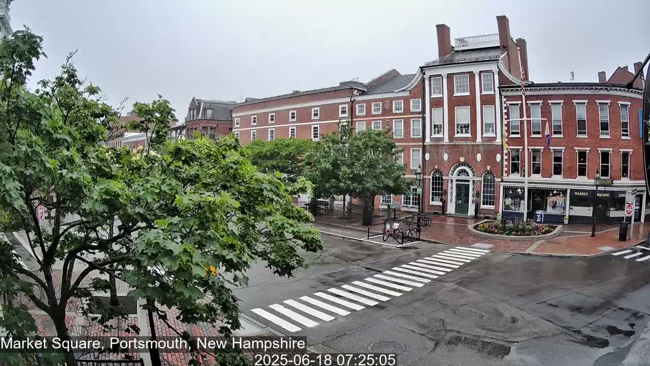 A brick building with several storefronts sits across a wet street with a crosswalk, in front of lush green trees on a cloudy day.