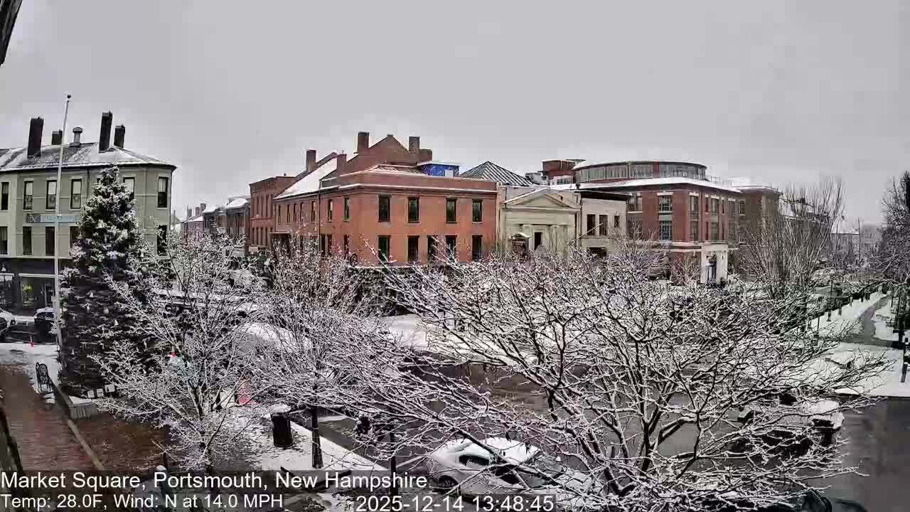 A wet, reflective street with a prominent crosswalk is illuminated by numerous streetlights, surrounded by dark, multi-story brick buildings and bare trees in a town square on an overcast night.