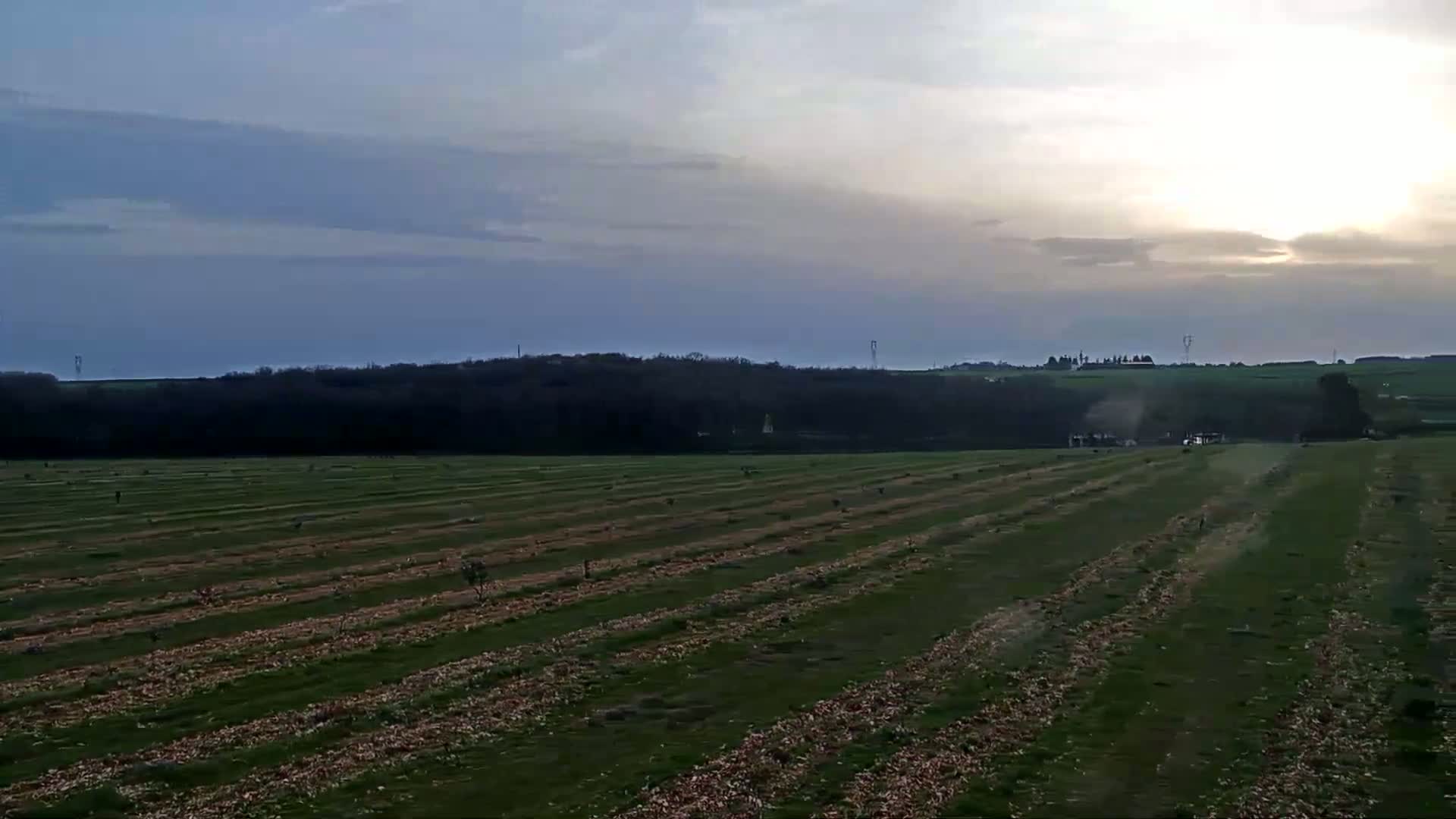A long, flat field with rows of young plants stretches out under a mostly cloudy, pale sky, with the sun partially visible in the distance.
