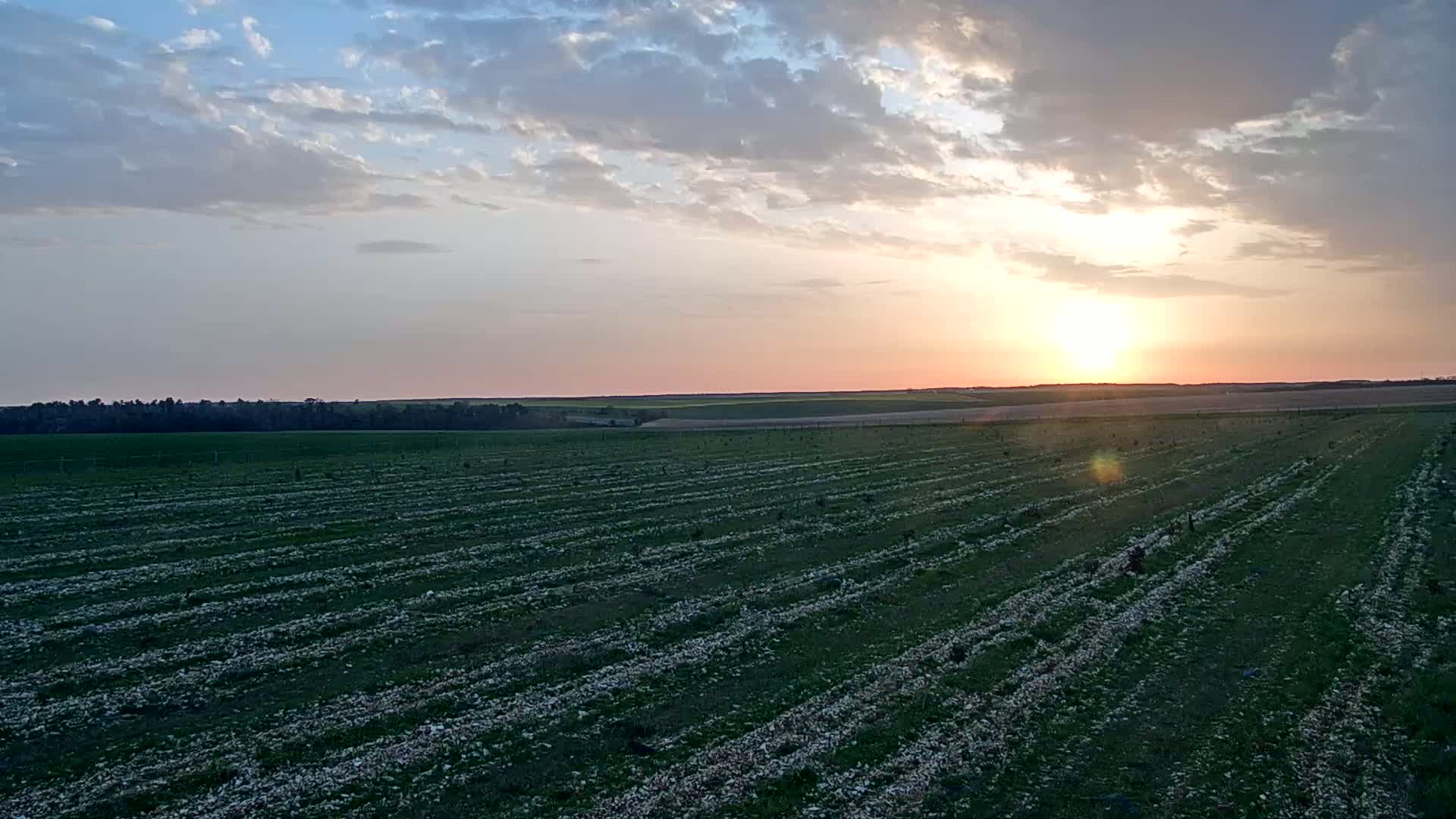 A vast, planted field stretches to the horizon under a partly cloudy sunset sky.