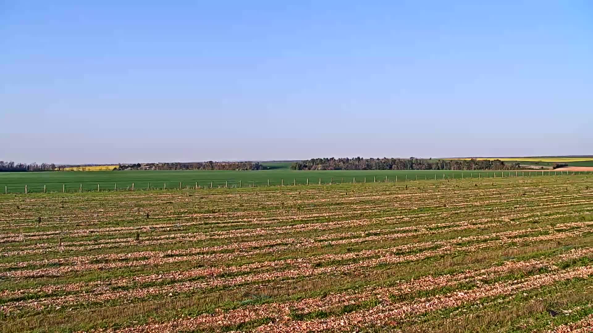 A freshly tilled field, showing rows of recently planted seedlings, stretches to a distant horizon under a clear blue sky.