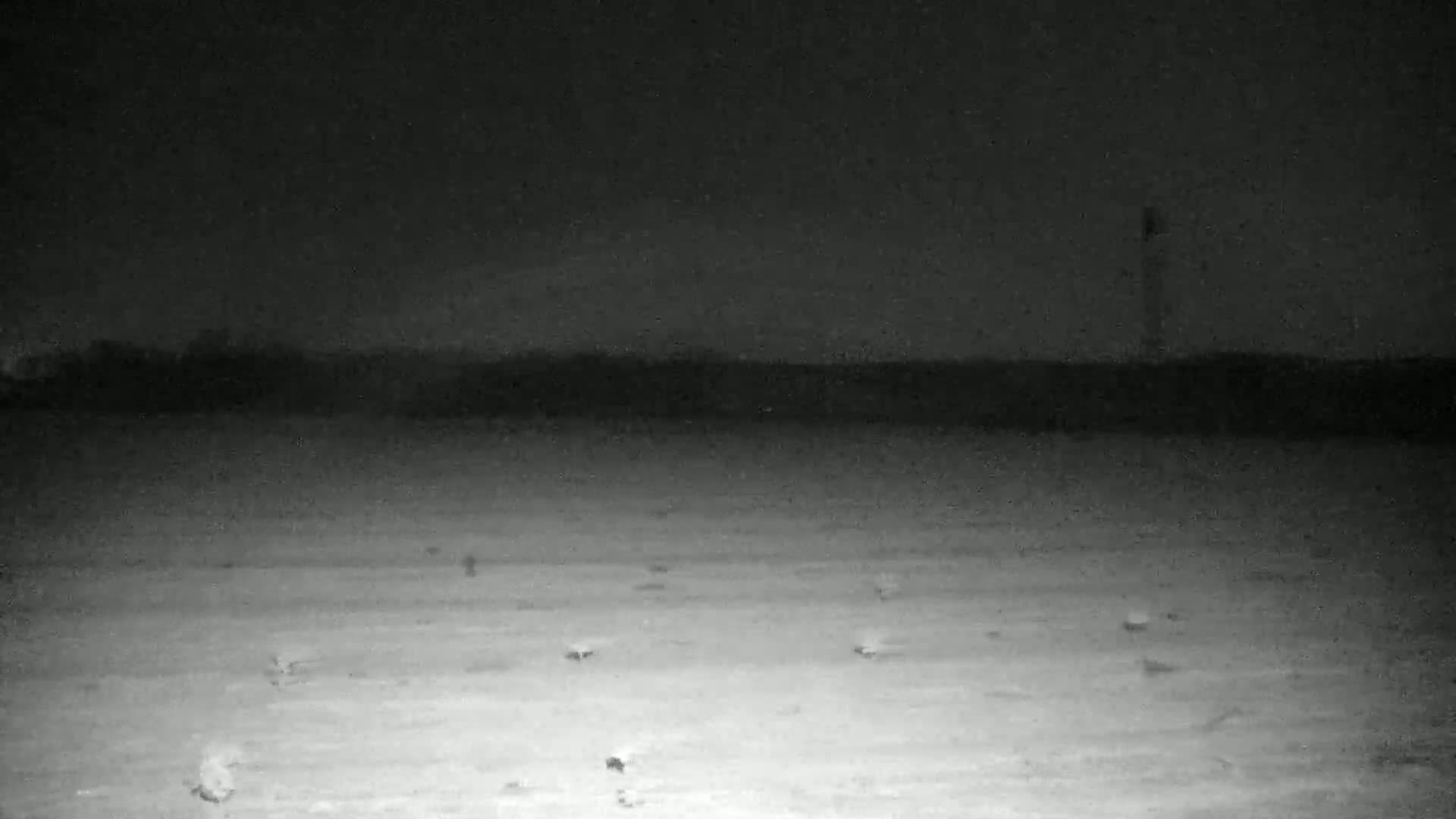 A nighttime, low-light image shows a flat expanse of land with a few small objects scattered across it, and a tall, thin structure visible in the distance under a dark sky.