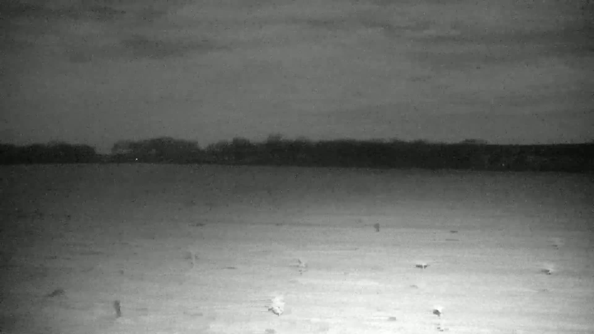 Under a dark, cloudy sky, a flat, snow-covered field stretches out before a dark line of trees.