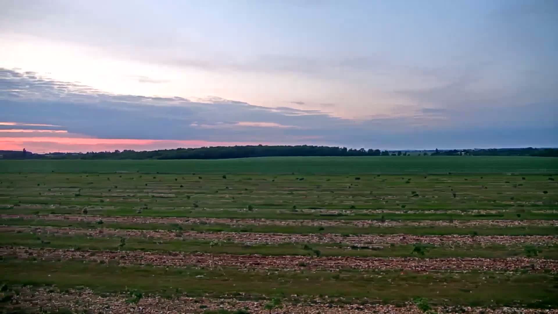 A vast, flat field with sparsely planted saplings stretches out under a pale pink and gray sunset sky.
