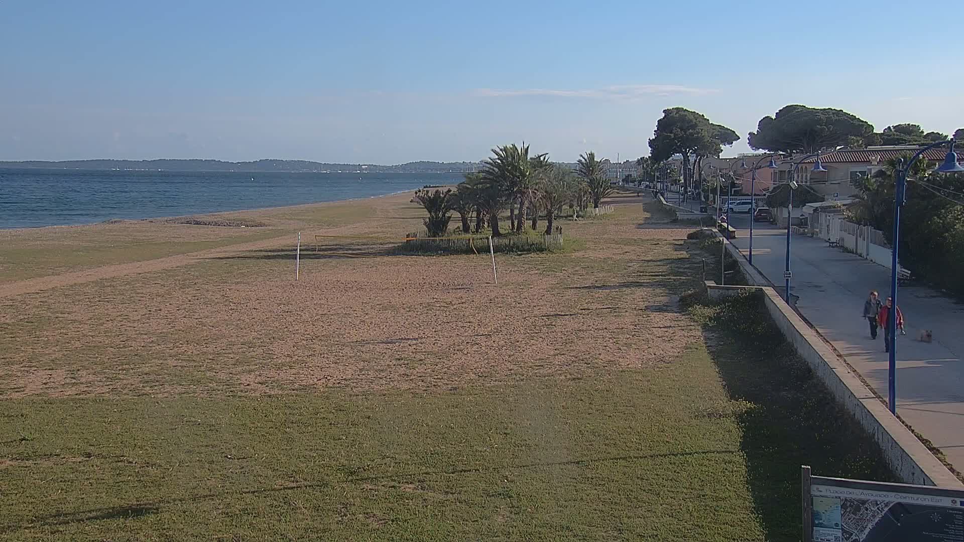 A sandy beach stretches alongside a paved walkway lined with palm trees and houses under a clear blue sky.