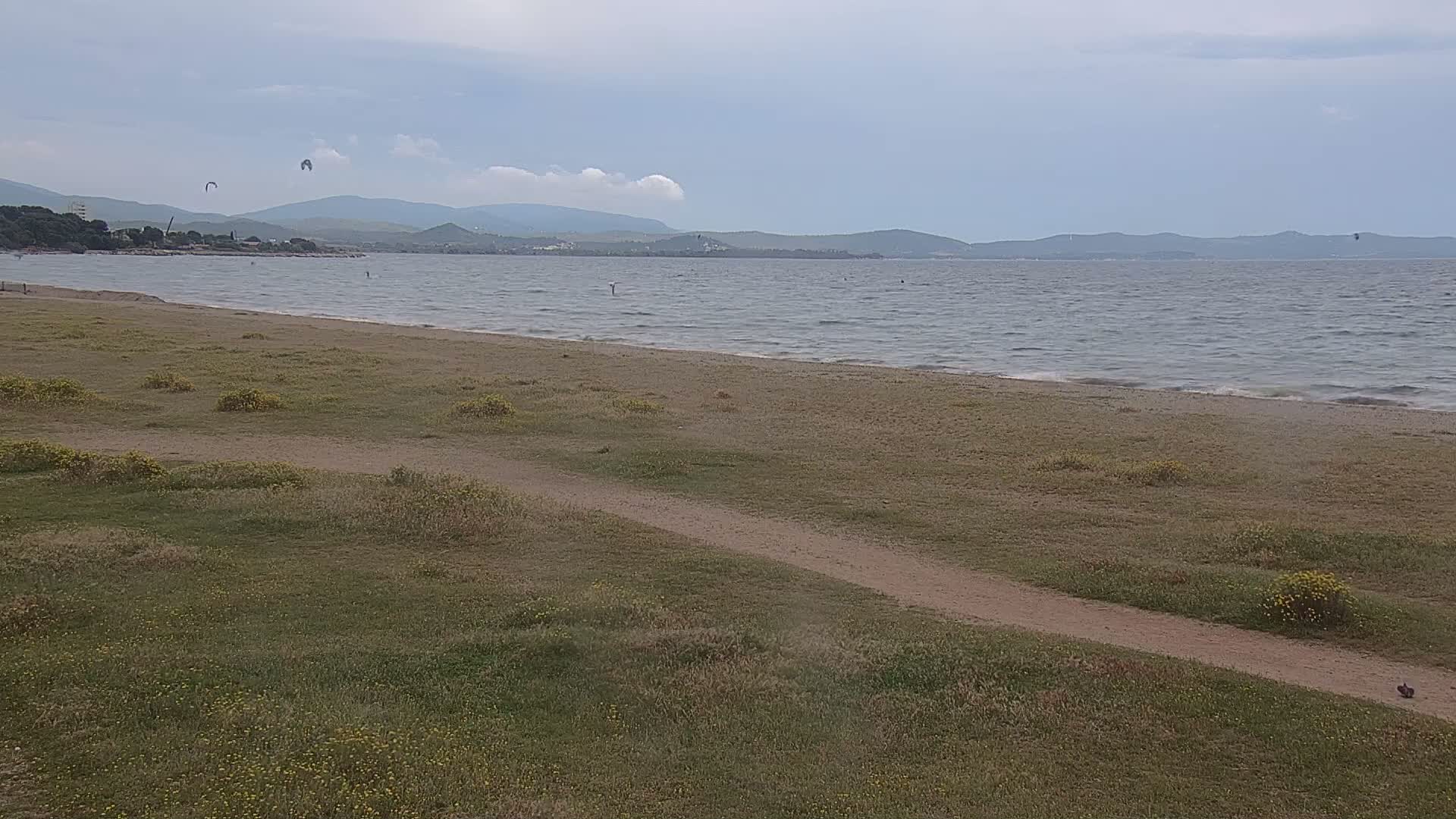 A sandy beach with light-colored grasses and a few small yellow wildflowers stretches toward a calm sea under a mostly cloudy sky, where several kitesurfers are visible in the distance.