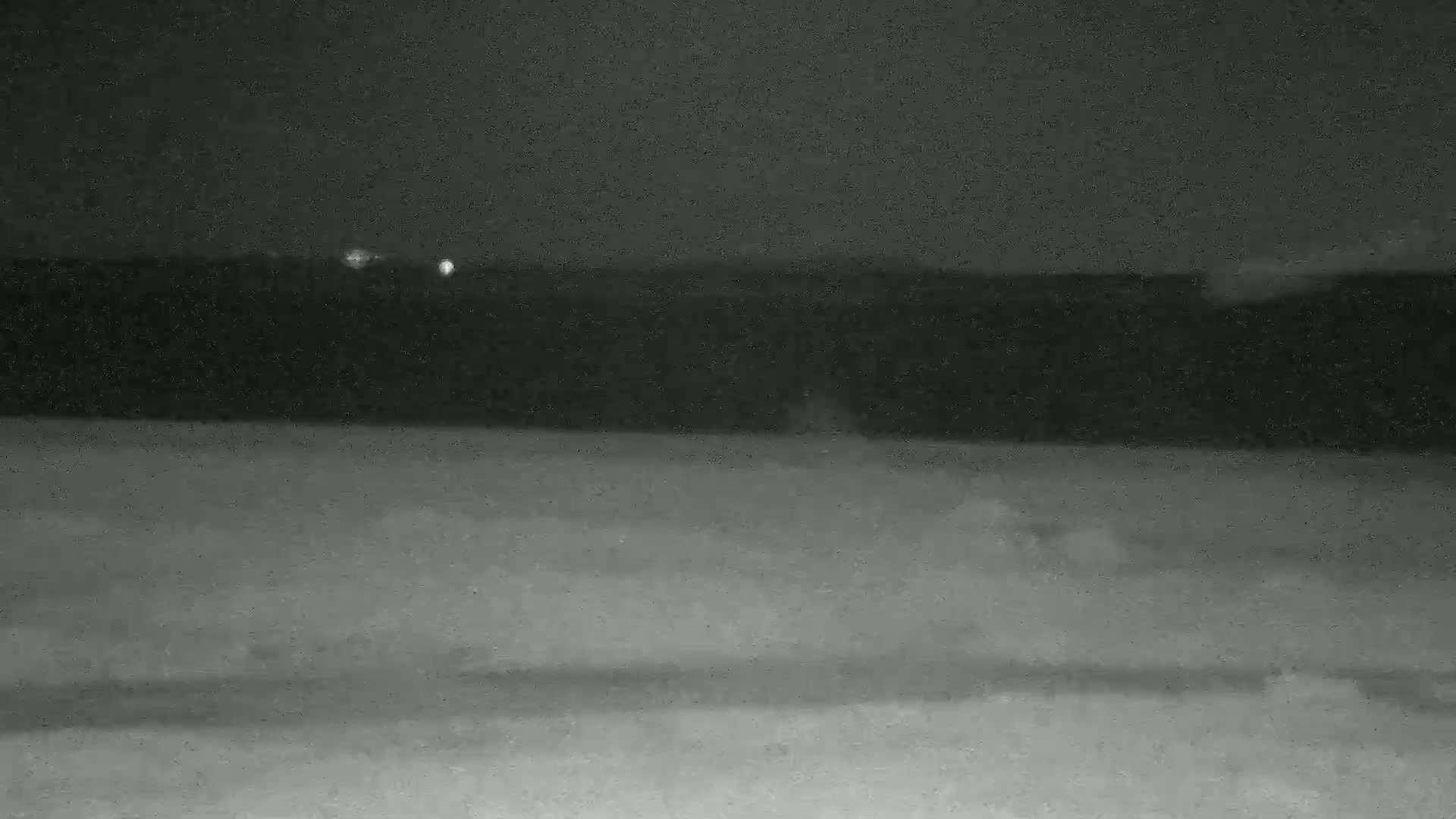 A nighttime, low-light image shows a dark, possibly wooded area in the background and a lighter, possibly snow-covered, foreground.