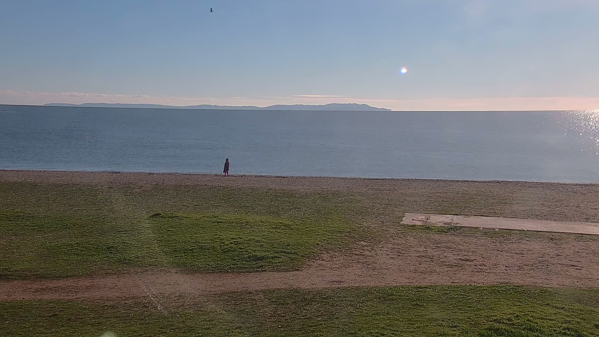 A person in a dark coat walks along a pebble beach next to a calm sea under a clear, sunny sky, with distant landmasses visible on the horizon.