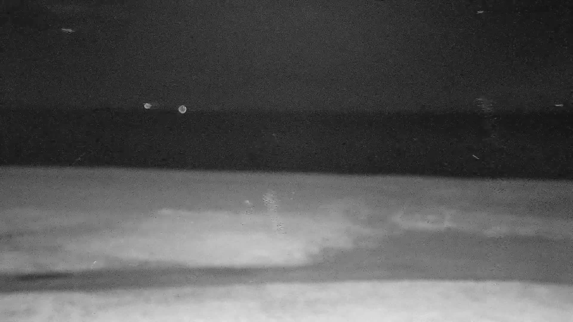 Hyeres, Plage de l'Ayguade Beach & Ayguade  Live Cam - Toulon, Var, Provence-Alpes-Cote d’Azur, France 