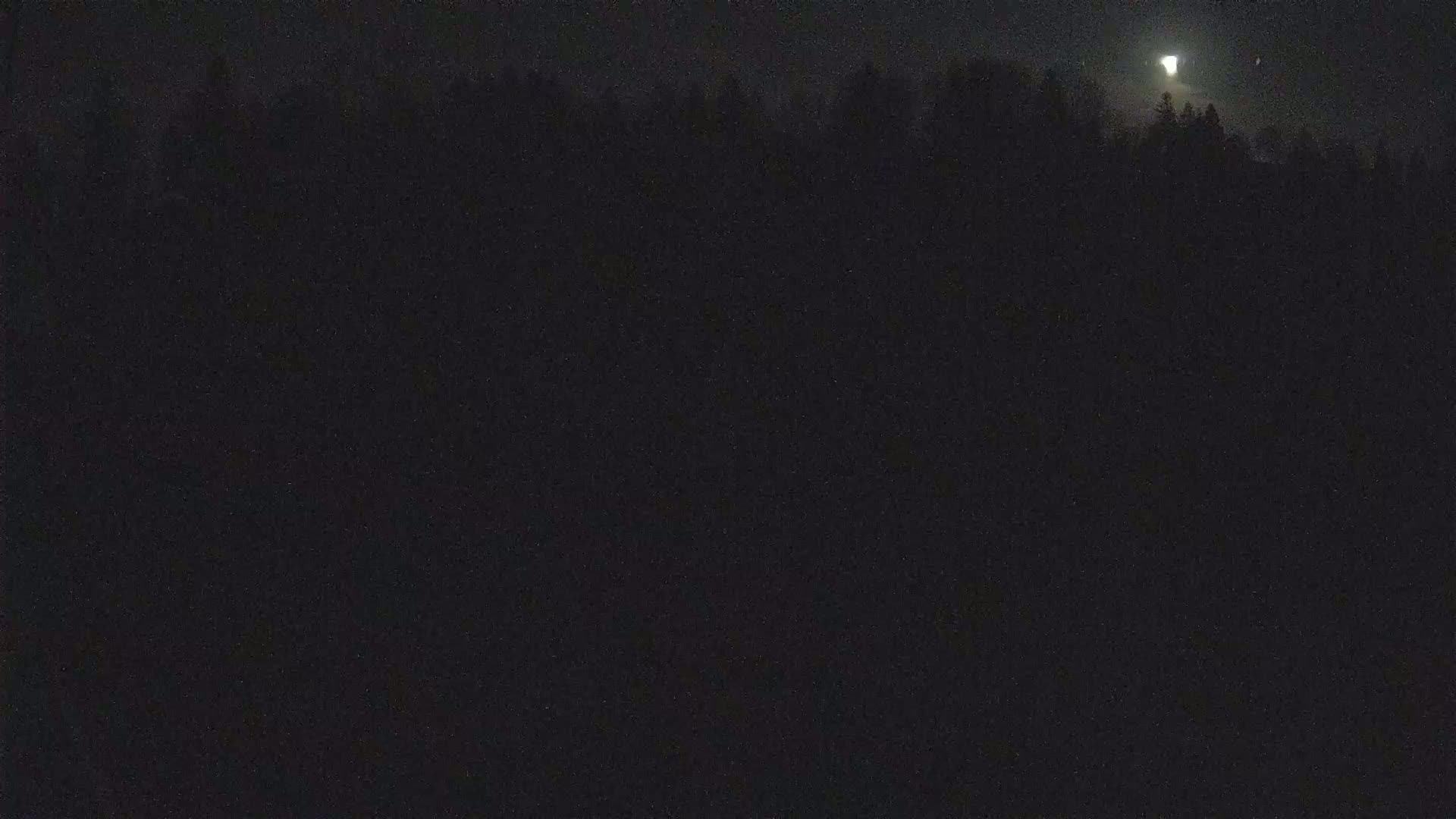 A nighttime view of a dark forest silhouetted against a bright moon.