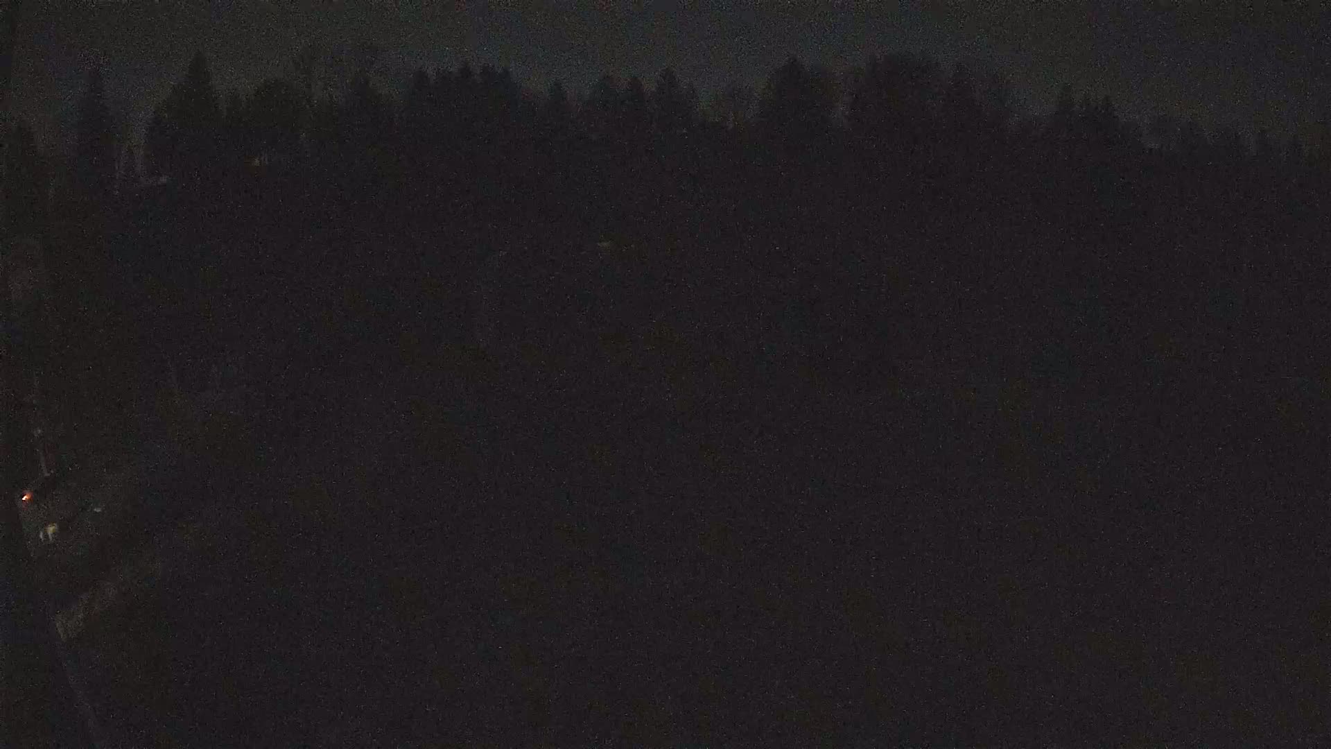 A dark, nighttime view of a silhouetted forest line.