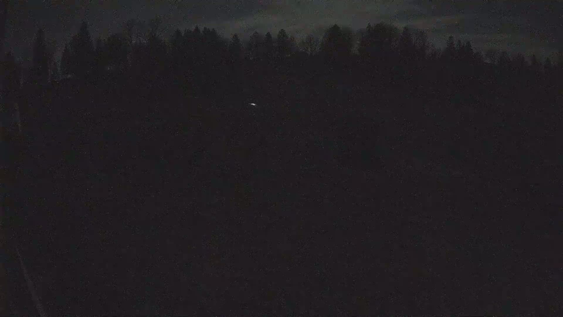 A dark nighttime scene shows a distant line of trees under a cloudy sky, with a single small light visible in the middle ground.
