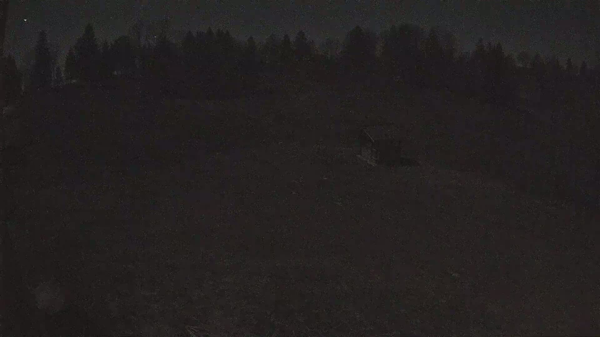 A dark, nighttime scene shows a silhouetted line of trees in the distance, with a mostly featureless, dark foreground.
