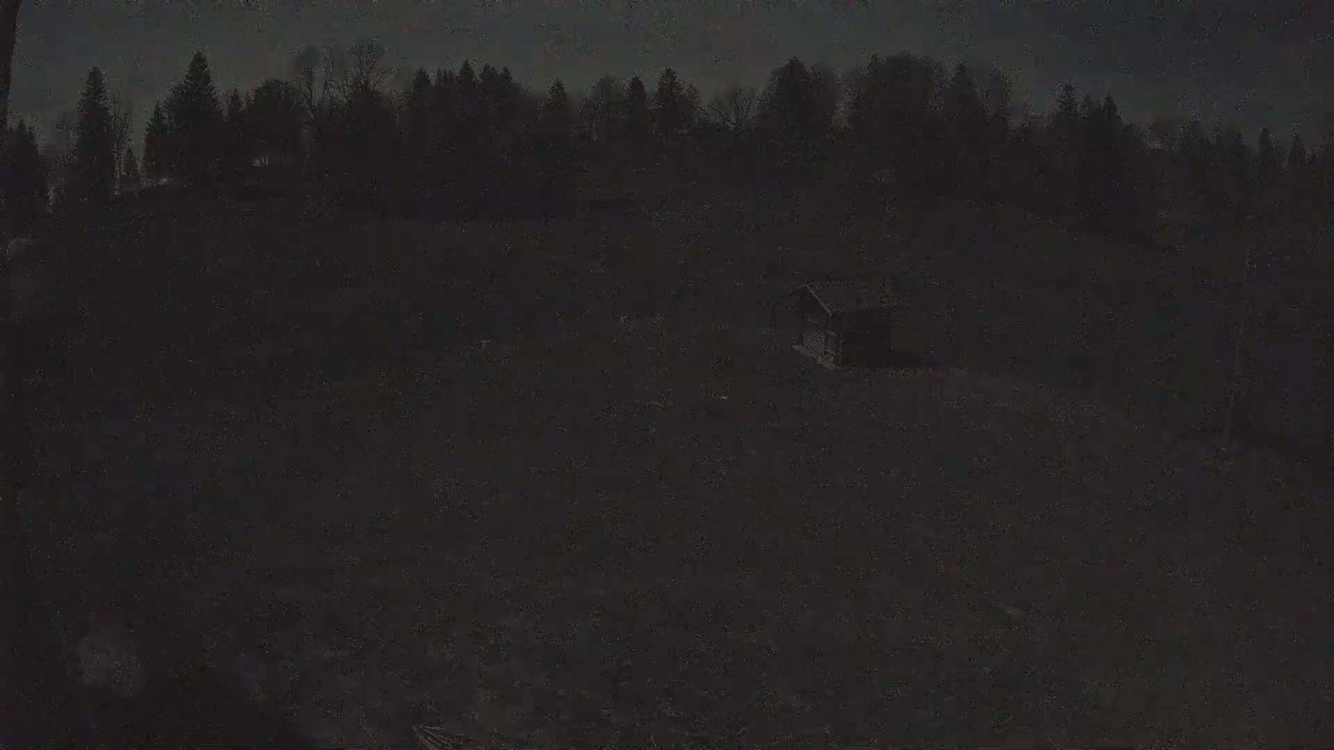 A small dark structure sits in a dark field below a silhouetted line of trees under a night sky.