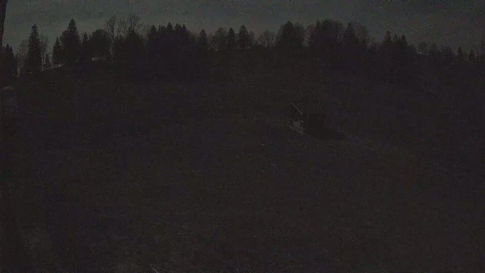 A dark, nighttime scene shows a silhouetted line of trees against a mostly clear, dark sky.