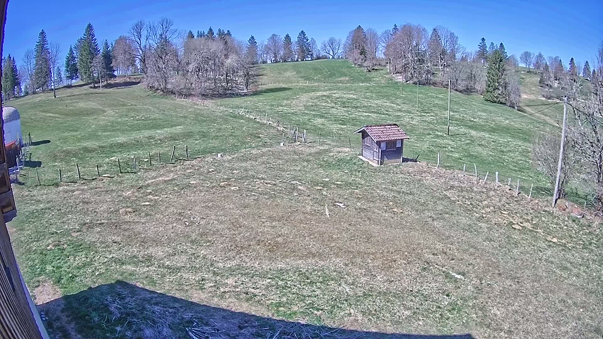 A grassy field with a small shed and a line of fence posts under a clear blue sky.