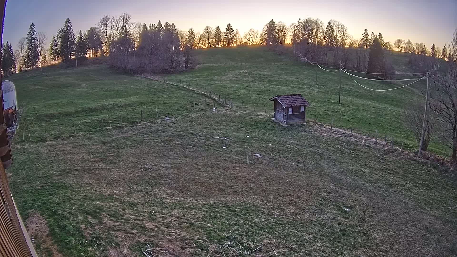 A small shed sits in a grassy field at sunset, overlooked by a line of trees on a hill.