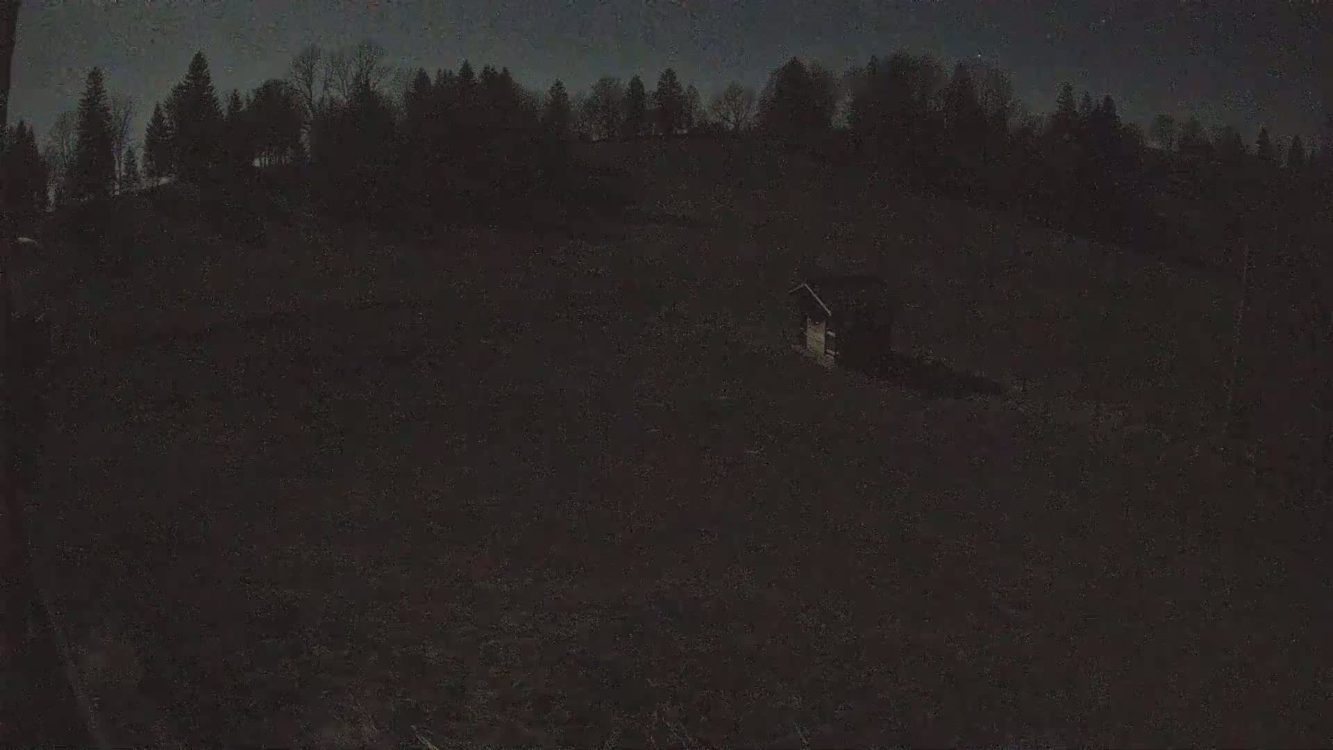 A small dark cabin sits in a dark field beneath a nighttime sky partially obscured by a dark silhouetted line of trees.