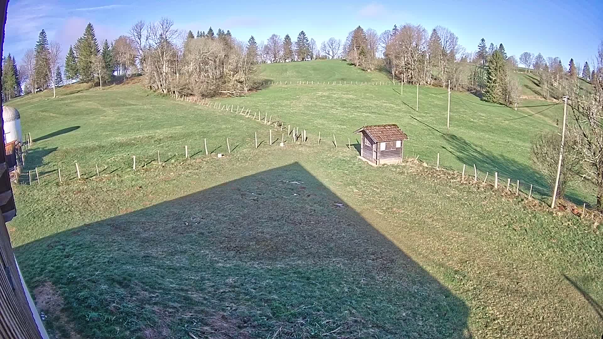 A grassy field with a small shed, bordered by a fence and trees, under a clear blue sky.