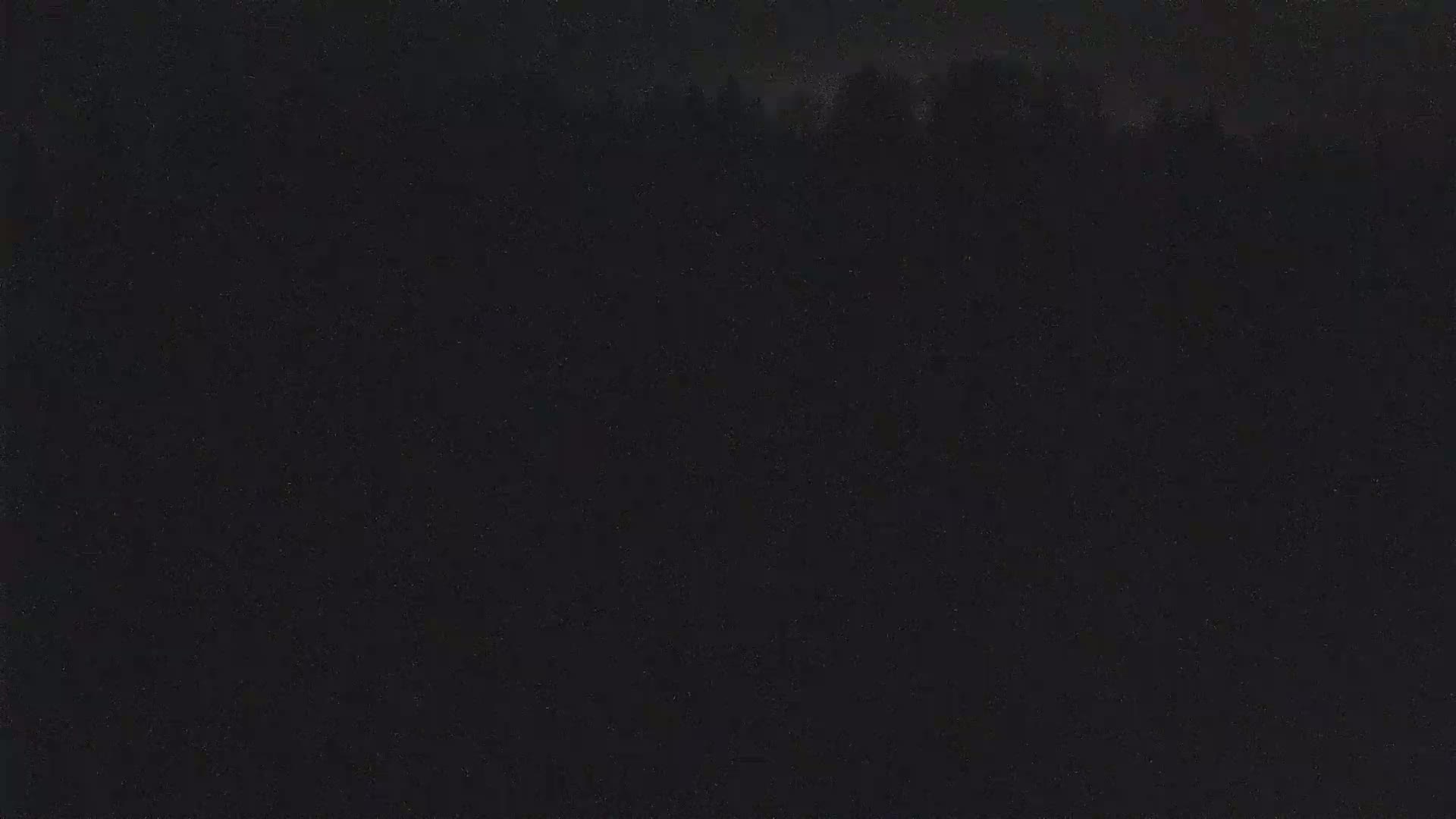 A dark, possibly nighttime, image shows a blurry line of trees in the distance.