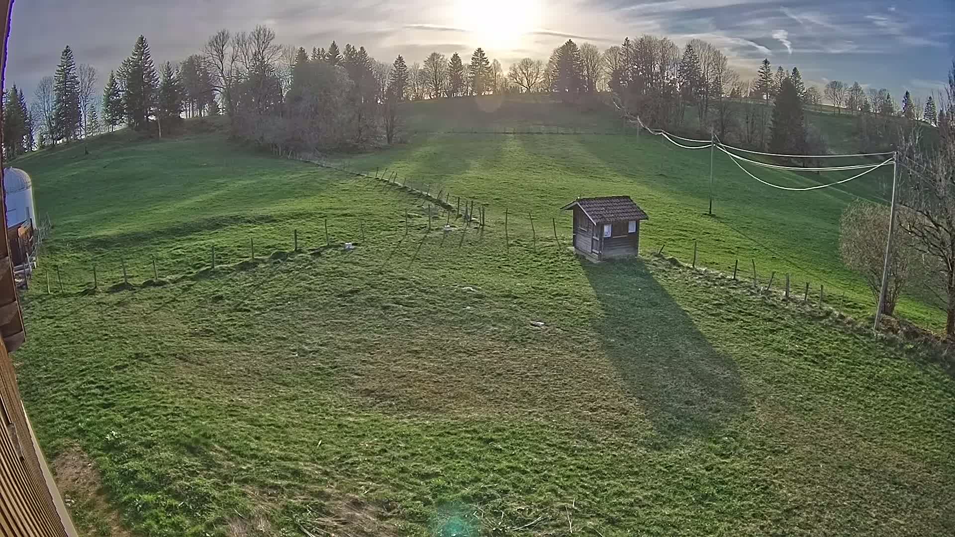 A small wooden shed sits in a grassy field, bordered by a line of trees under a partly sunny sky.