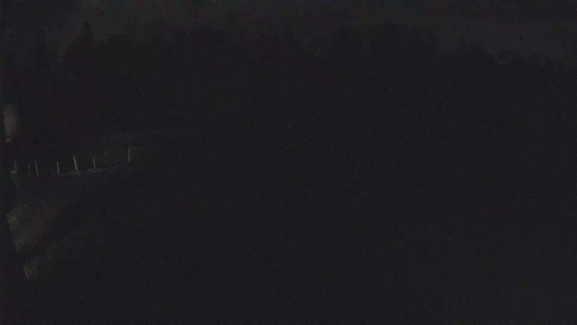 A dark, nighttime image shows a low fence in the foreground and a blurry, indistinct background of trees or shrubs under a dark sky.