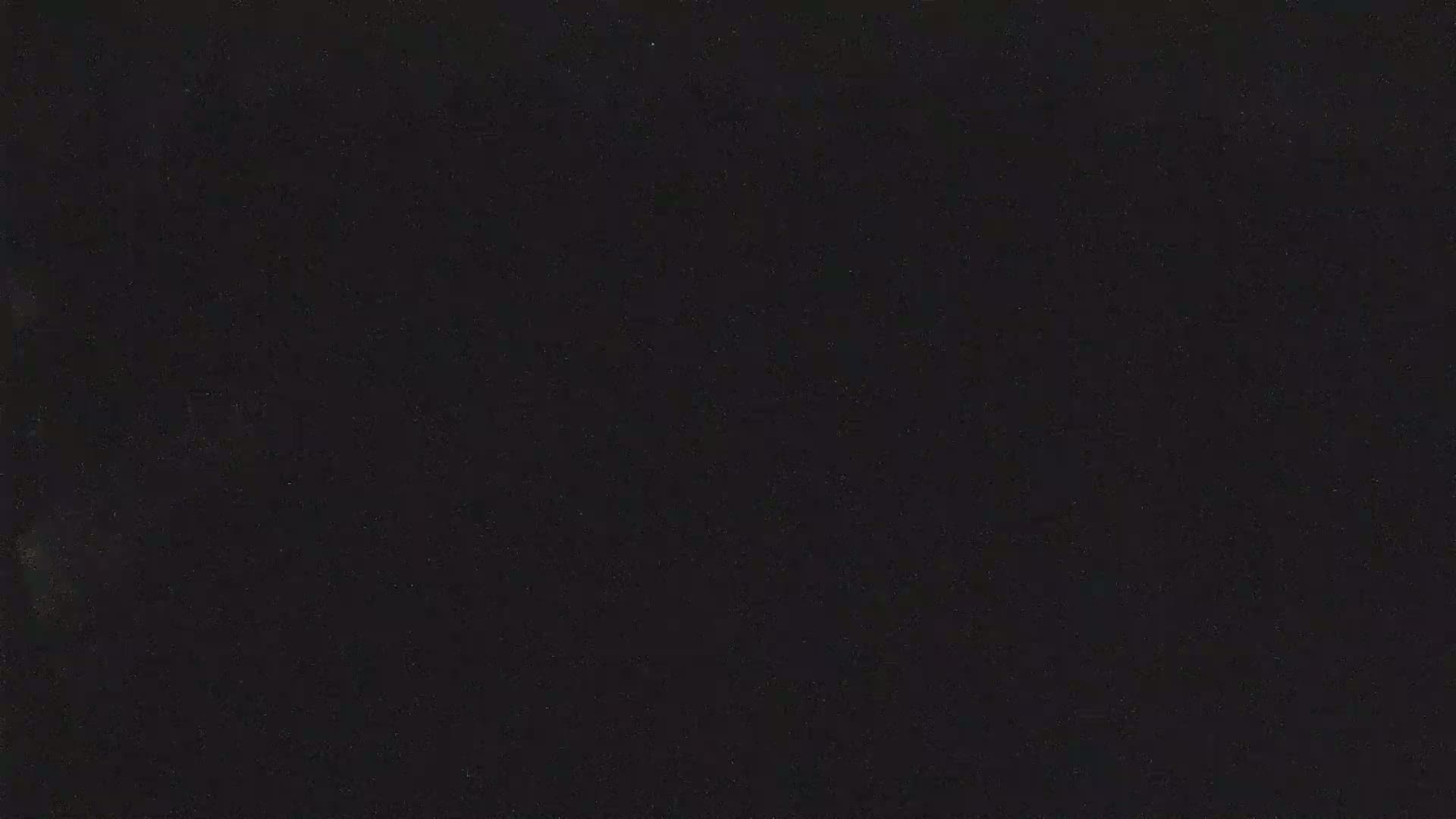 The image shows a dark, uniformly textured surface.
