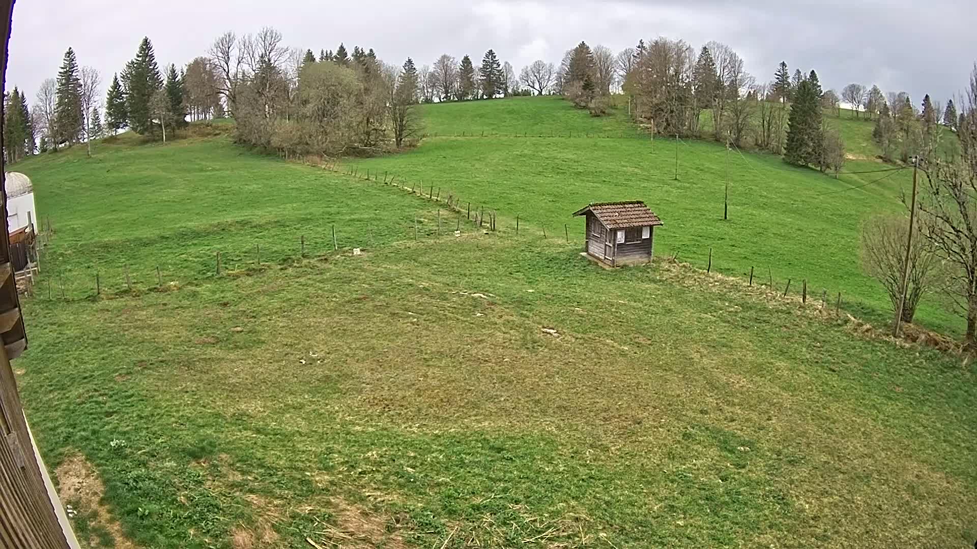 A small wooden shed sits in a sprawling green pasture under a cloudy sky, bordered by a line of trees on a hillside.