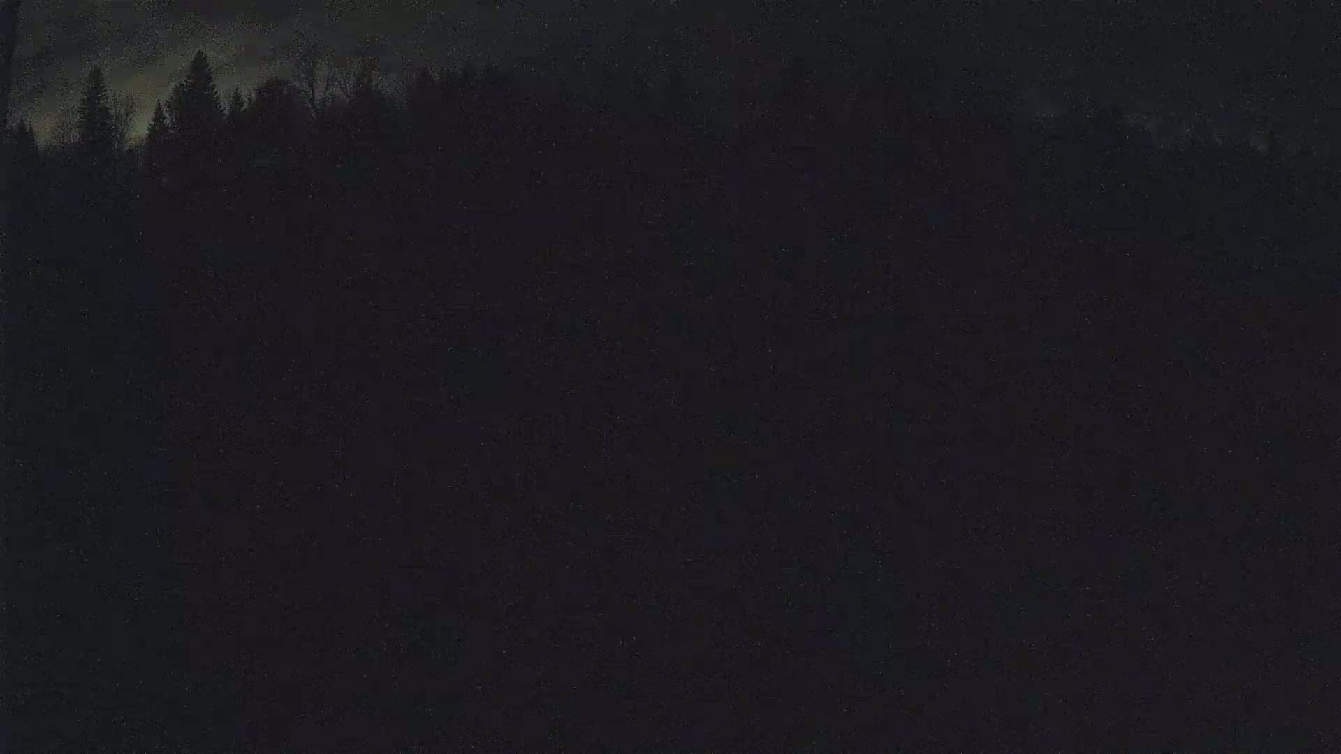 A dark nighttime scene shows a silhouetted line of trees under a cloudy sky.