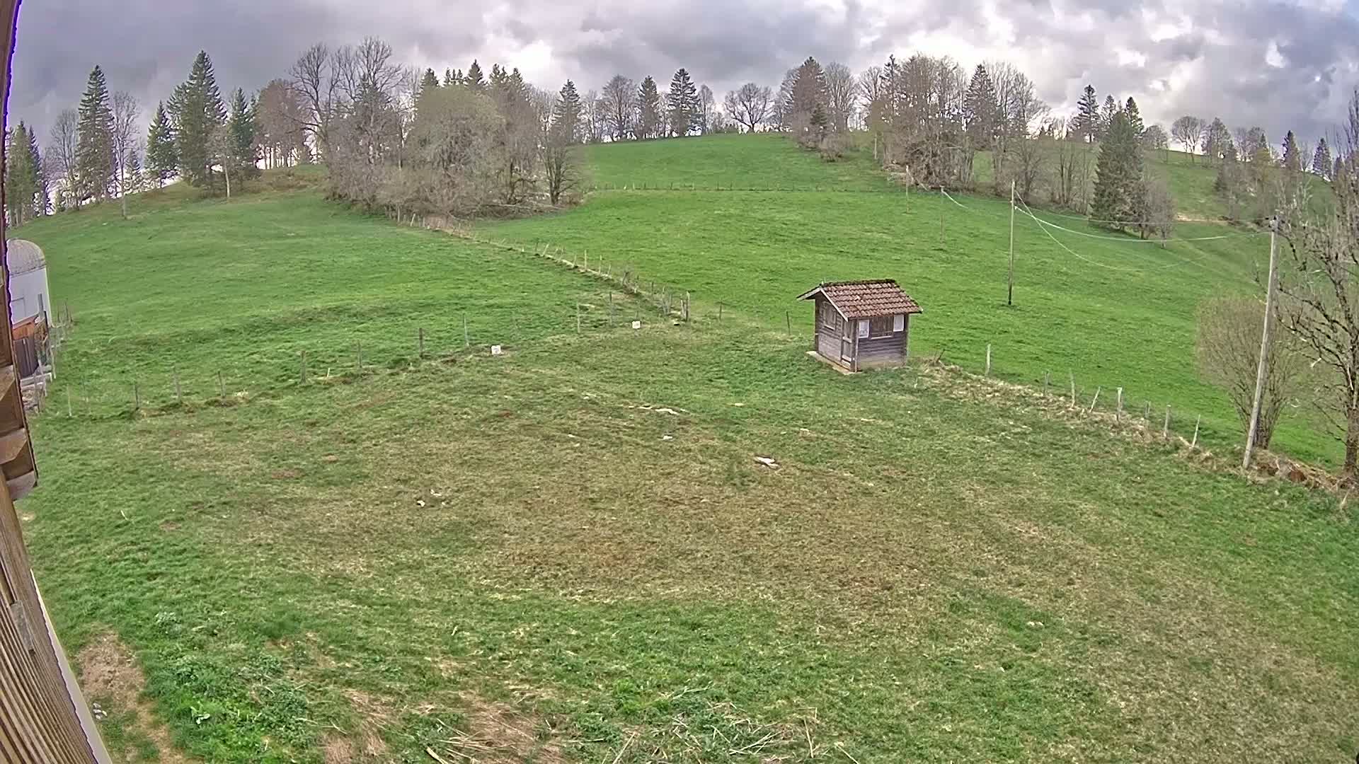 A small wooden shed sits in a grassy field under a cloudy sky, with a line of trees visible in the background.
