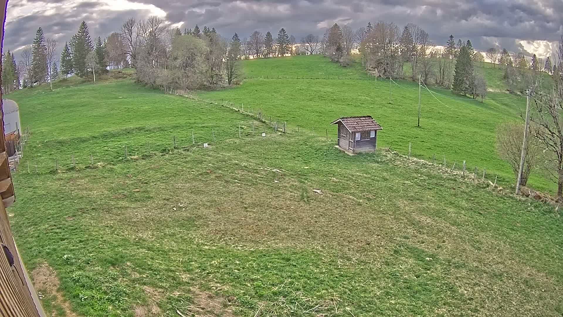 A small wooden shed sits in a sprawling green pasture under a cloudy sky, surrounded by trees and a line of utility poles.