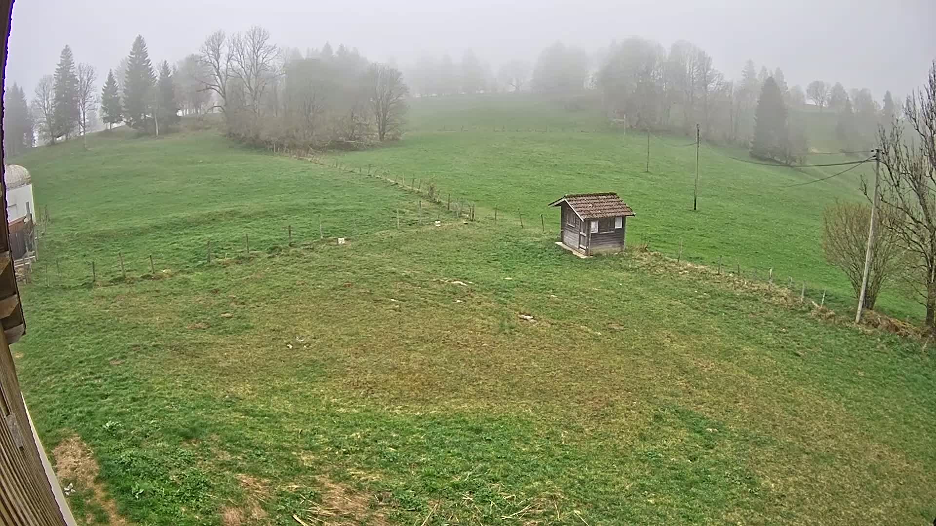 A small, dark shed sits in a large, grassy field on a foggy day, with a line of trees visible in the background.