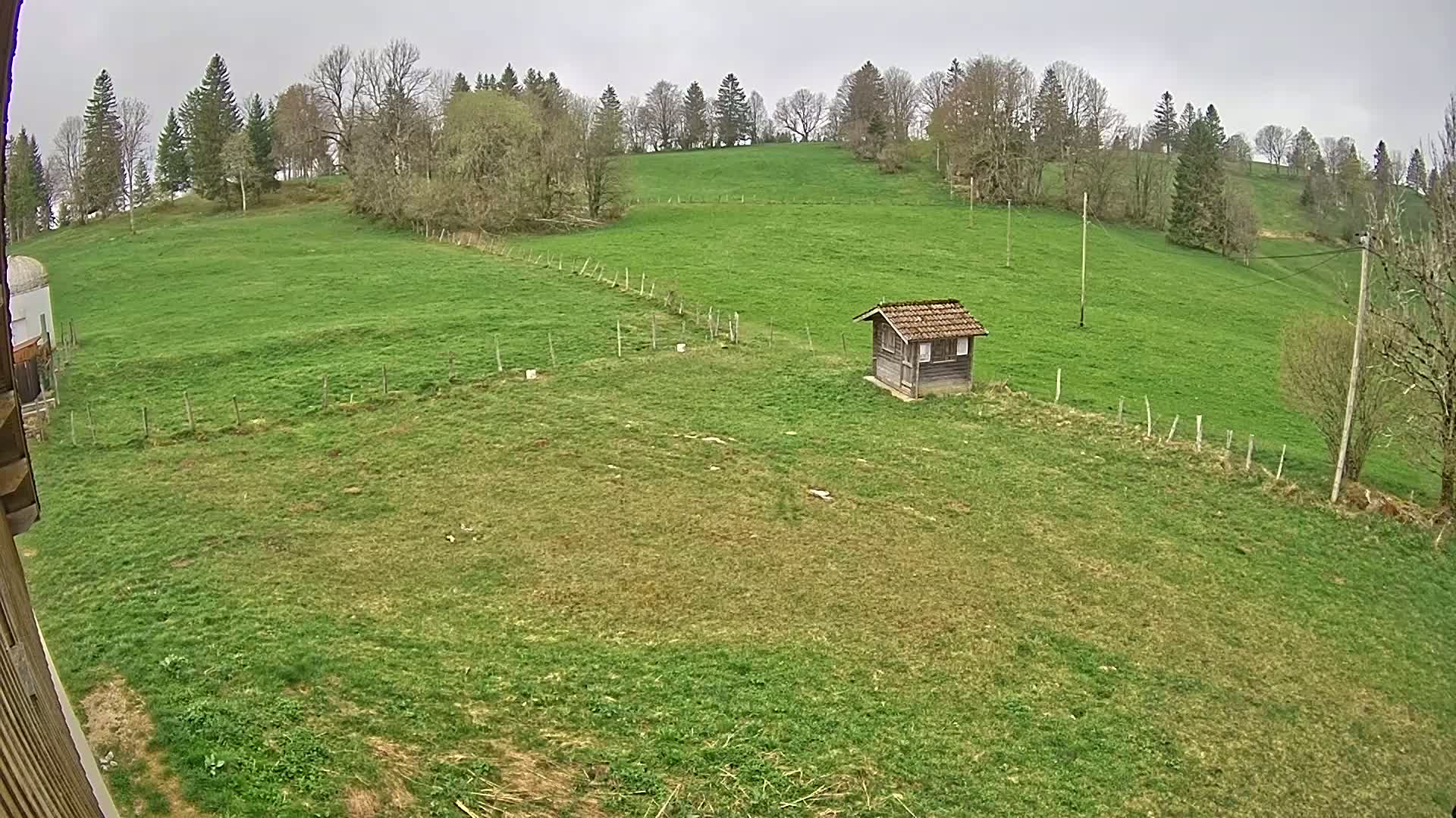 A small wooden shed sits in a grassy field, overlooked by a line of trees on a cloudy day.